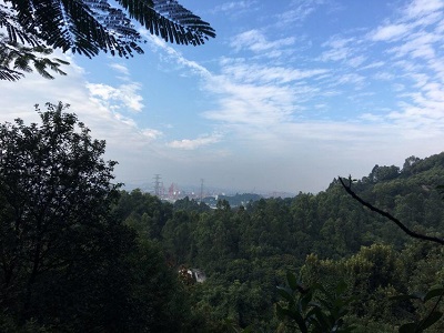 171125龍頭山