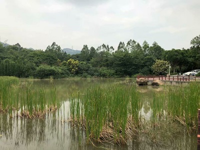 180421漁龍線徒步